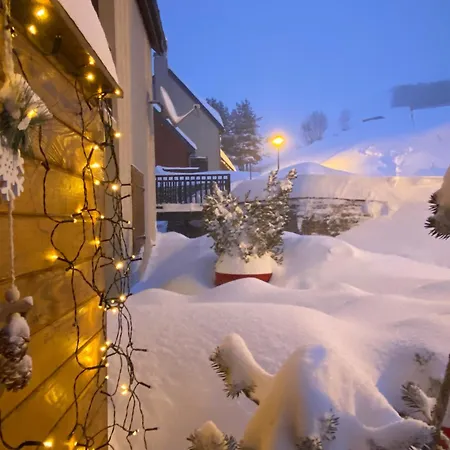 Aster Apartment Germ