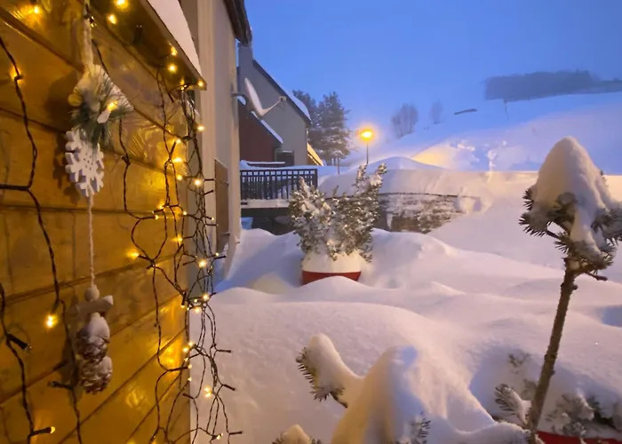 Aster Apartment Germ